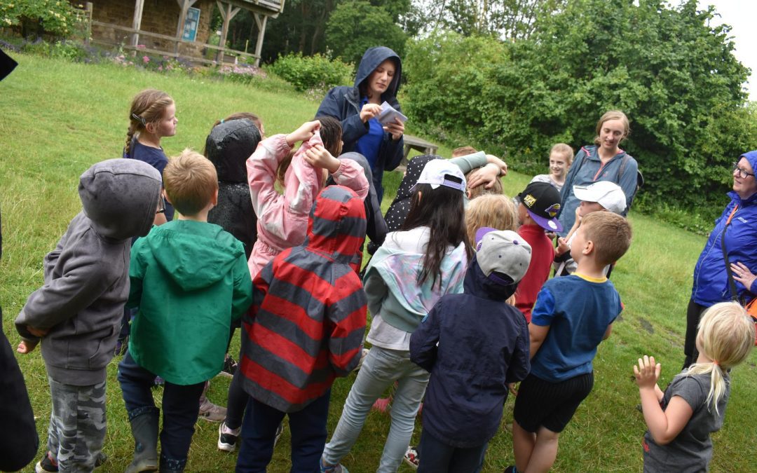 This week Classes 1,2,3,4 & 5 visited Old Moor Wetland Centre