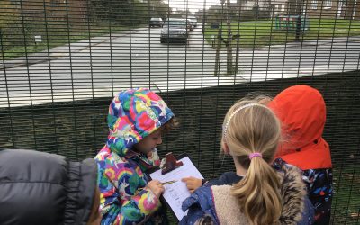Road Safety in Class 2