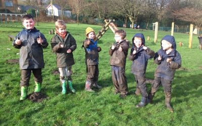 Forest Schools