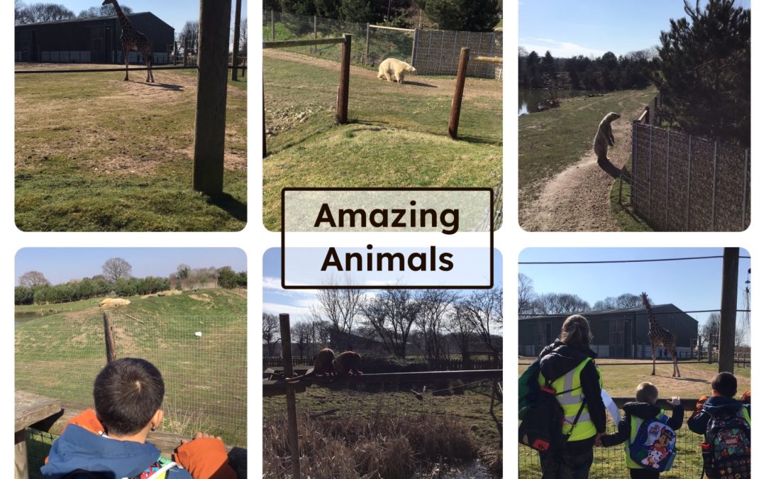 Orchard Trips