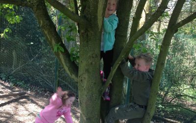 Forest Schools