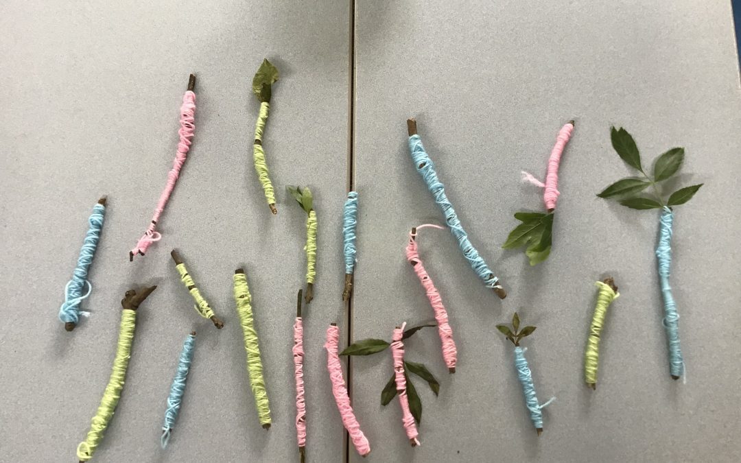 Class 3 Forest School