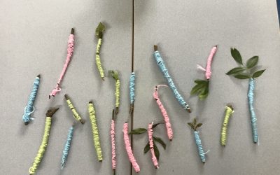 Class 3 Forest School