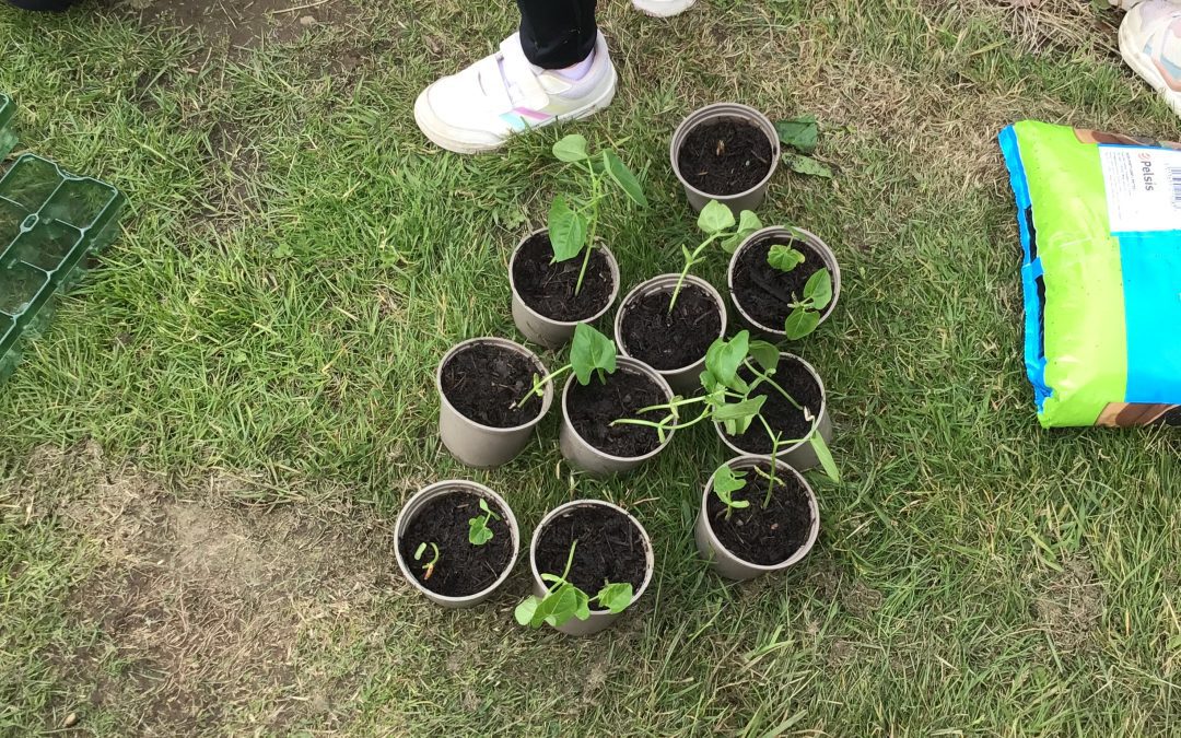 Gardening Club