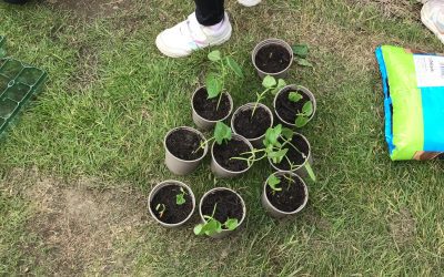 Gardening Club