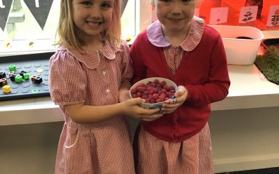 Raspberry Smoothies in Gardening Club