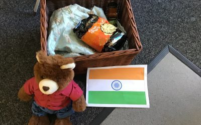 Exploring the Wonders of India