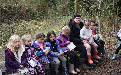 Class 7 & 8 visit Ecclesall Woods