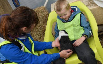 Greaves House Farm Visits