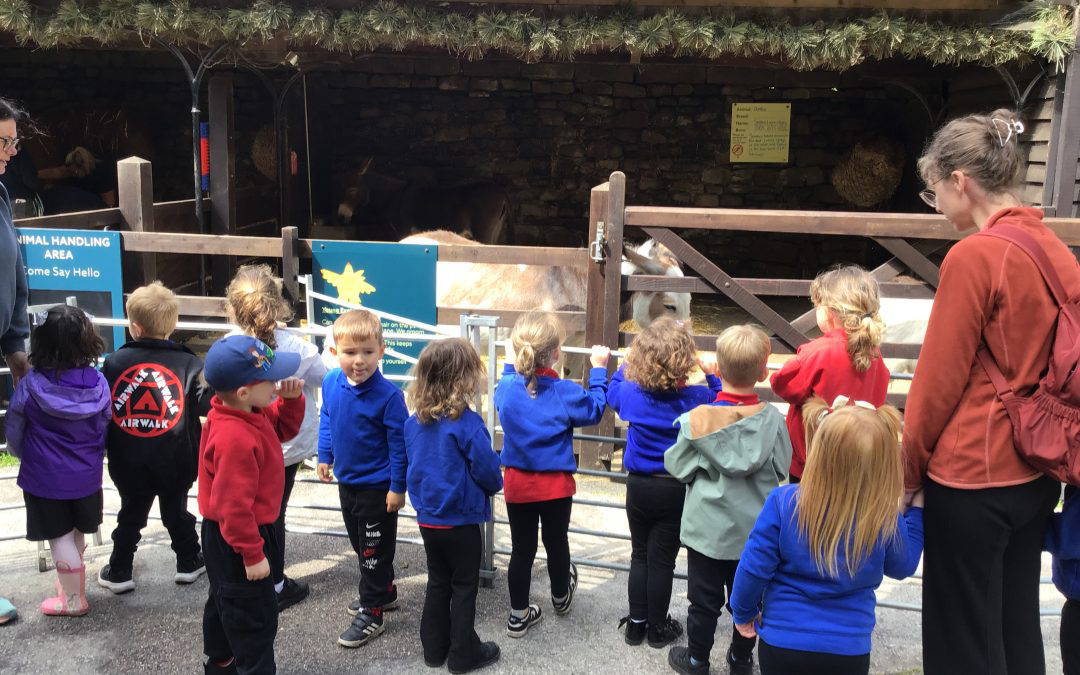 Chatsworth Visit